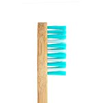 Bamboo Toothbrush – Standard – Green (Adult) Nylon Bristle